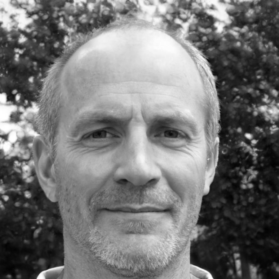Portret Radu Mihalcea